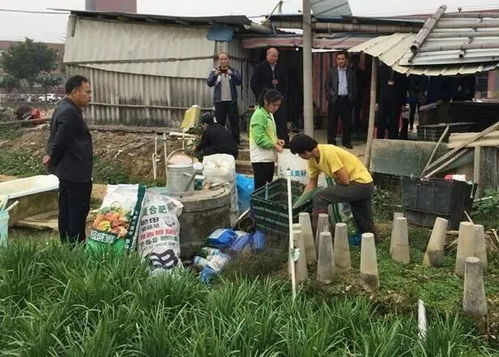 筑牢安全防線，高明區(qū)開展節(jié)前食用農(nóng)產(chǎn)品專項(xiàng)檢查行動(dòng)