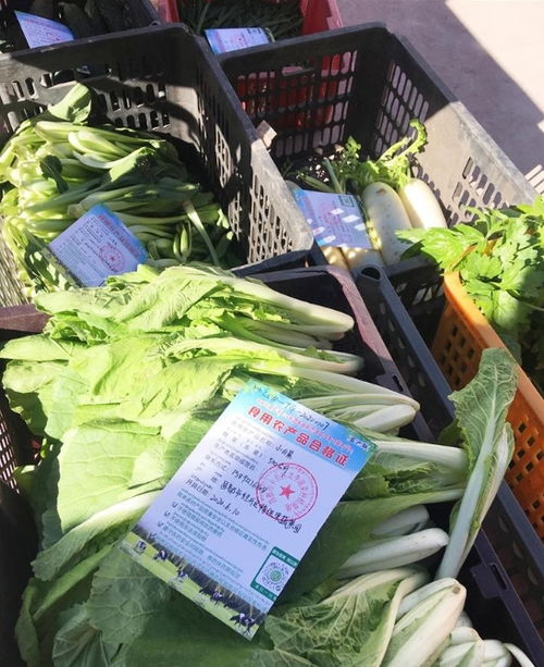 西藏食用農(nóng)產(chǎn)品合格證累計(jì)出具突破4600張，質(zhì)量安全追溯體系穩(wěn)步構(gòu)建